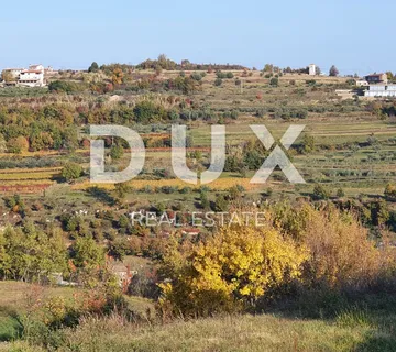 ISTRA, MOMJAN – Atraktivno zemljište s pogledom i kamenim objektima - cover