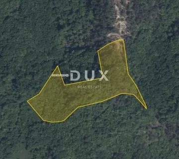 ISTRA, PAZIN, CEROVLJE - Šuma za sječu - cover