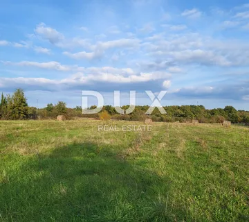 ISTRA, SVETVINČANAT - Prostrano zemljište 26.000m2 na rubu urbanizacije - cover