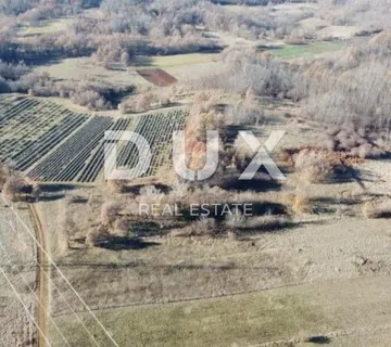 ISTRA, LABIN - Poljoprivredno zemljište - cover