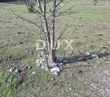 RIJEKA, ČAVLE - građevinsko zemljište 650 m2 - Soboli, Čavle