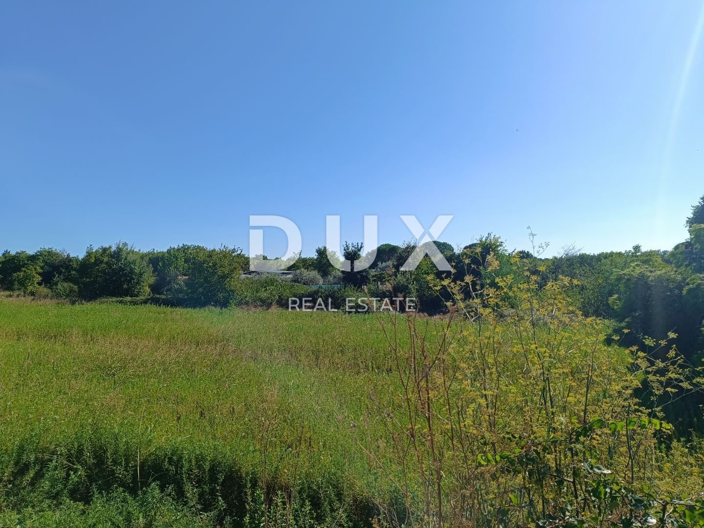 Fotografija