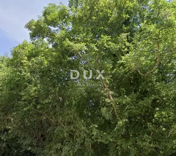 ISTRA, PERUŠKI - Poljoprivredno zemljište 41600 m2 - cover