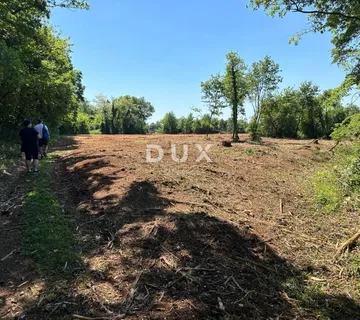 Pula, Muntić, poljoprivredno zemljište, 10.096 m² - Muntić, Ližnjan