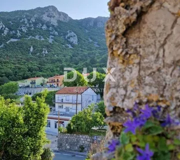 ISTRA, LABIN - Kuća i poslovni prostor