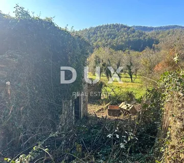 ISTRA, CEROVLJE - Samostojeća ruševna kuća s velikom okućnicom