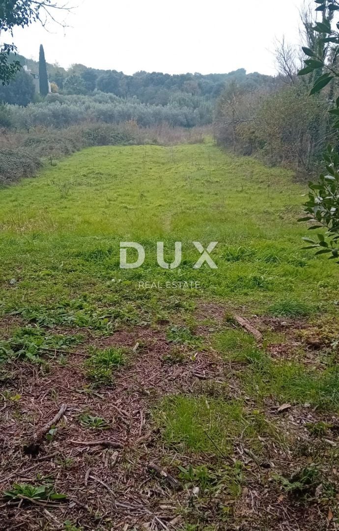 Fotografija