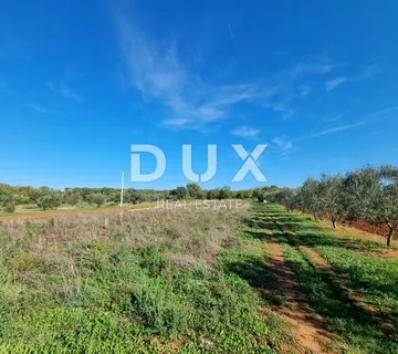 ISTRA, PULA Poljoprivredno zemljište nedaleko od centra grada!  - cover