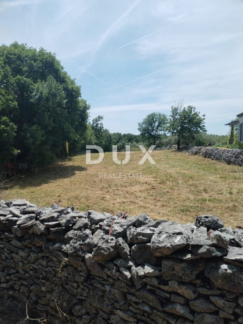Fotografija