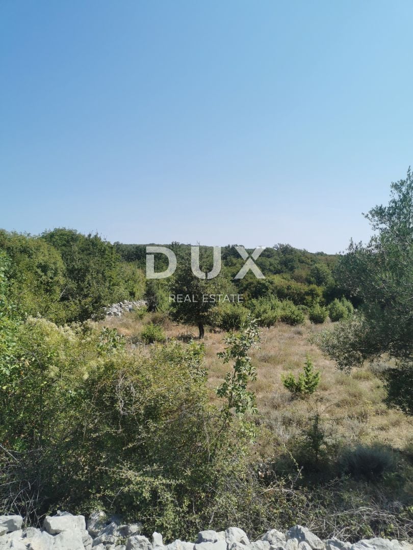 Fotografija