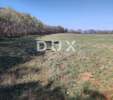 ISTRA, PULA - Prekrasno očišćeno zemljište industrijske namjene 10 500 m2 - cover