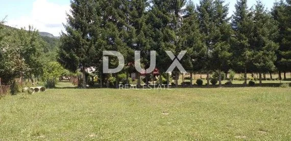 Fotografija