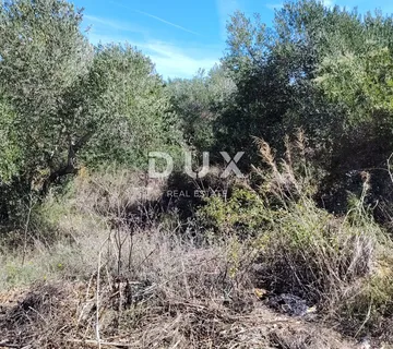 DUGI OTOK, BOŽAVA - PRILIKA! Građevinsko zemljište 130 m od mora! - cover