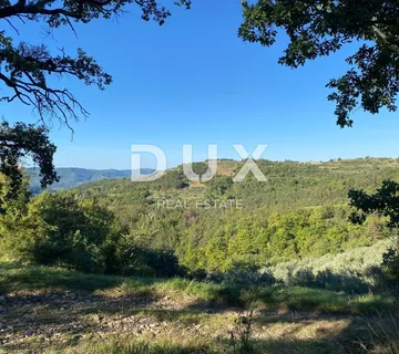ISTRA, DRAGUĆ - građevinsko zemljište 2.257 za stambenu zgradu - stanove / apartmane / obiteljsku kuću / villu! PRILIKA!!! - Draguć, Cerovlje