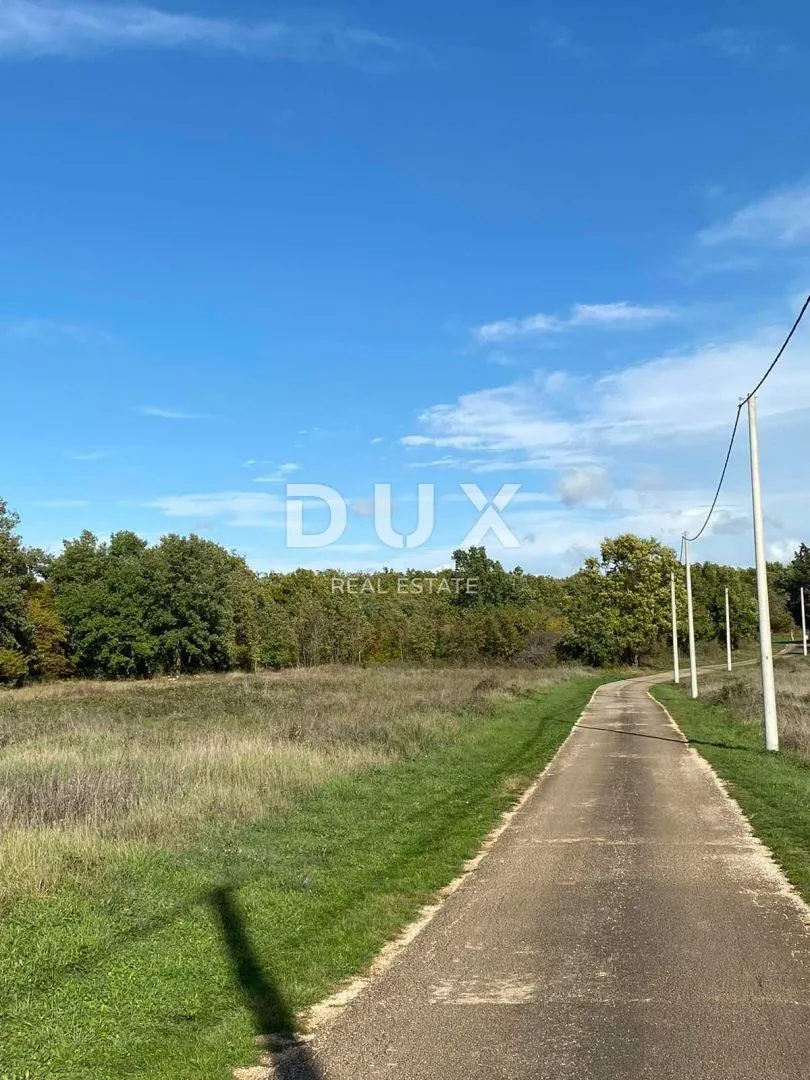 Fotografija