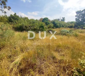 ISTRA, FAŽANA - Poljoprivredno zemljište sa maslinama 1610 m2  - cover