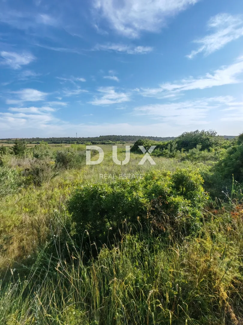Fotografija