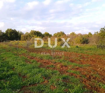 ISTRA, SVETVINČENAT - Zemljište s mogućnosti izgradnje energetskih građevina iz obnovljivih izvora energije - cover