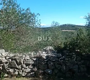 OTOK UGLJAN, KALI - Tradicionalan maslinik na otoku Ugljanu