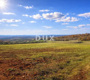 ISTRA, VIŽINADA - Poljoprivredno imanje s potencijalom - cover