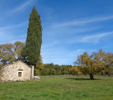 ISTRA, ŽMINJ - Građevinsko zemljište sa kamenom kućicom - cover