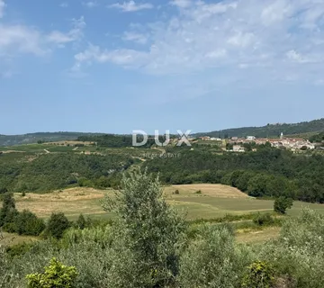 ISTRA, GROŽNJAN - Građevinsko zemljište s predivnim pogledom i maslinama