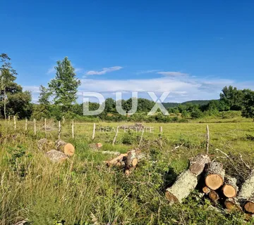 ISTRA, GROŽNJAN - Prostrano zemljište na rubu naselja