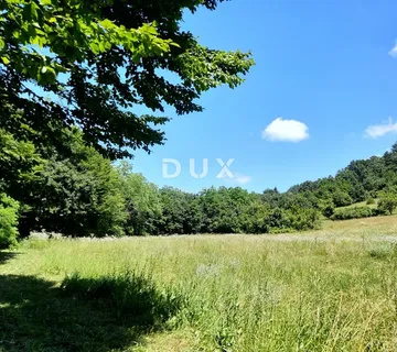 ISTRA, PAZIN - Imanje za obnovu