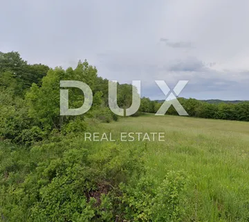 ISTRA, PIĆAN - Zemljište okruženo prirodom na mirnoj lokaciji - cover