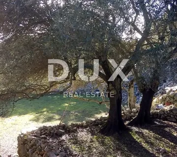 OTOK CRES - Kuća i zemljište s potencijalom  - cover