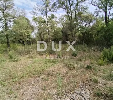 ISTRA, PEROJ - Poljoprivredno zemljište 3346 m2 blizu mora! - cover