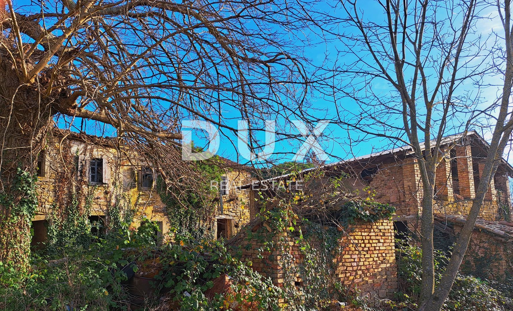 Fotografija