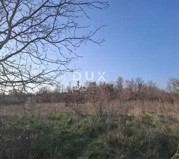 ISTRA, KANFANAR - Veliko poljoprivredno zemljište - Dubravci, Kanfanar