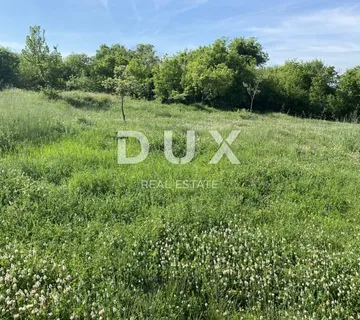 ISTRA, BARBAN - Građevinsko zemljište s ruševinama na mirnoj lokaciji! - cover