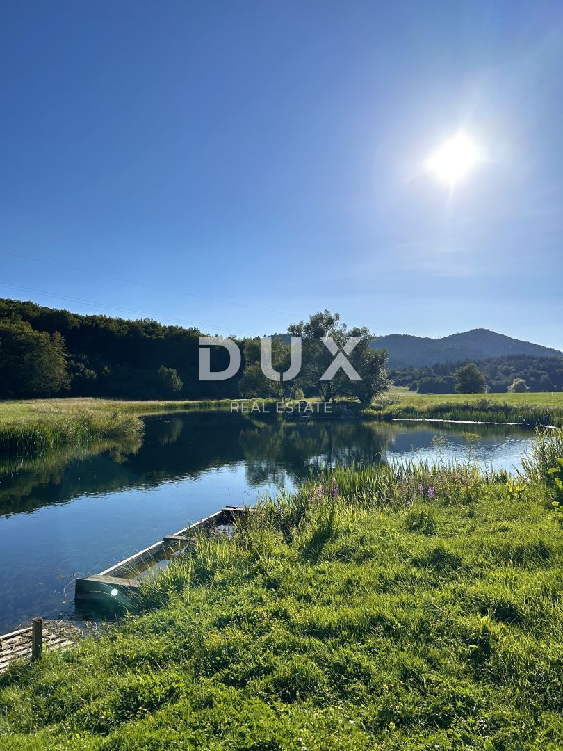 Fotografija