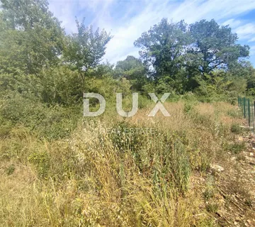 ISTRA, PEROJ - Poljoprivredno zemljište, šuma 2436 m2 - cover