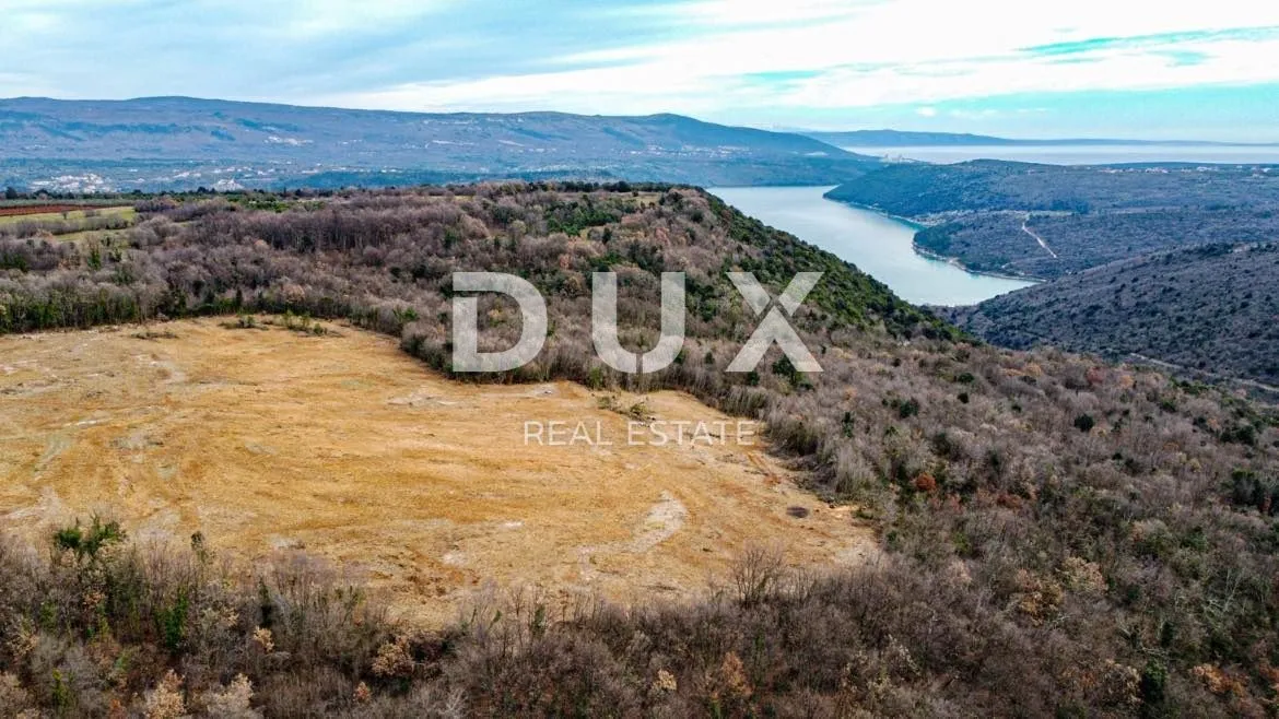 Fotografija
