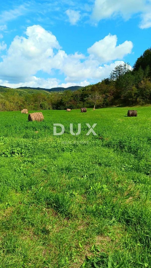 Fotografija