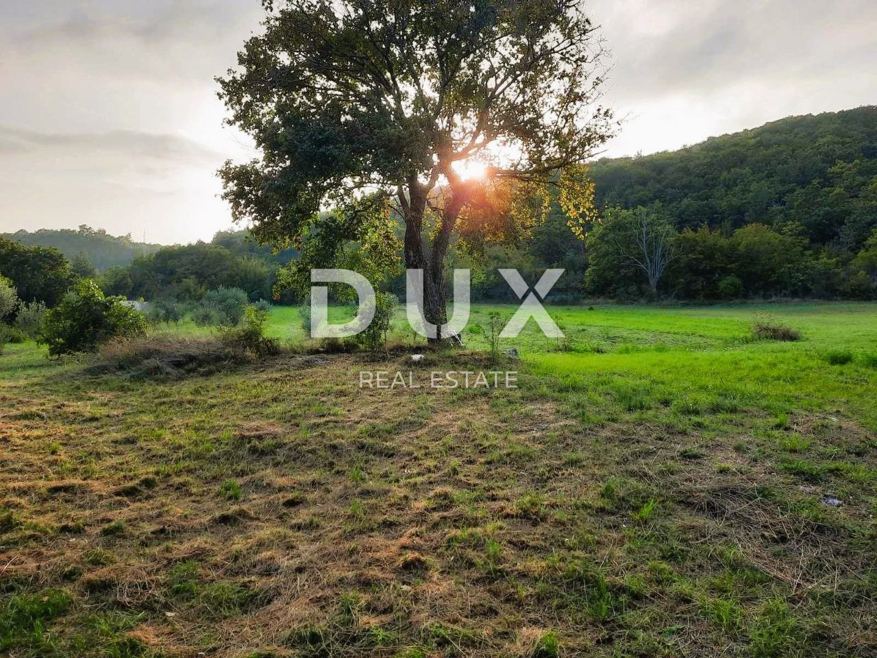 Fotografija
