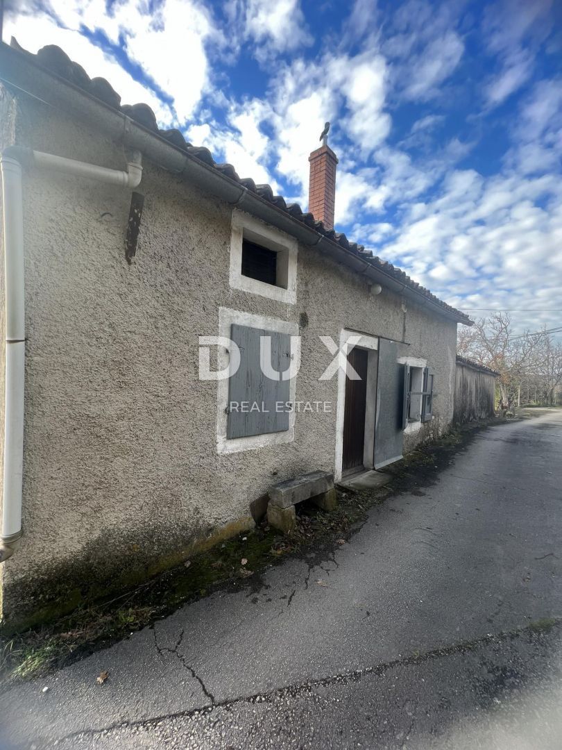 Fotografija