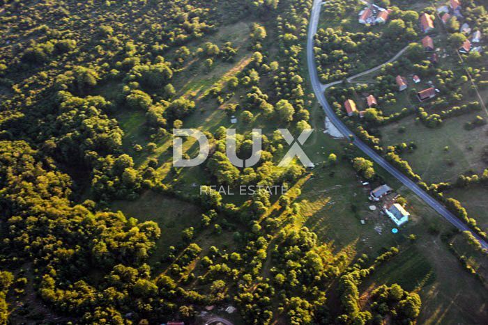 Fotografija