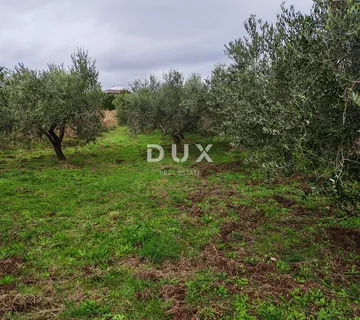 ISTRA, PREMANTURA - Građevinsko zemljište 1615m2 - cover