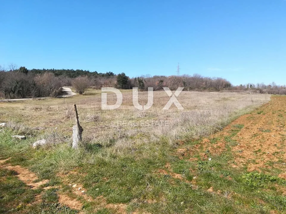 Fotografija