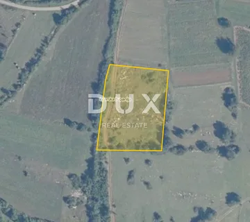 ISTRA, GROŽNJAN - Poljoprivredno zemljište površine 8116 m2 - cover