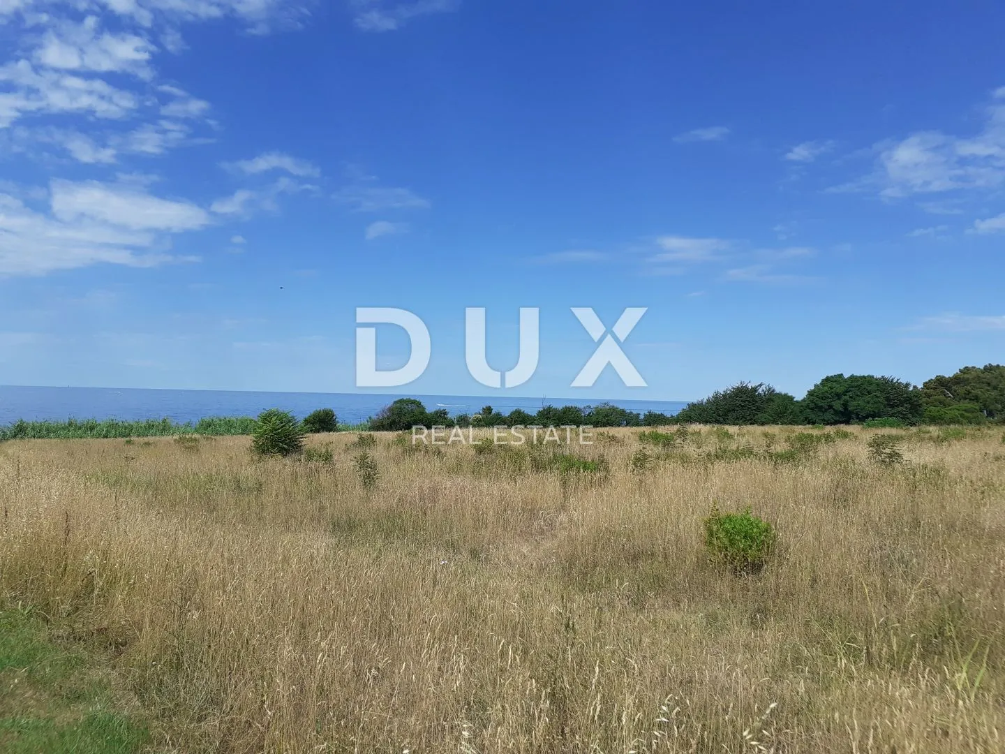 Fotografija
