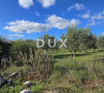 ISTRA, POREČ - Građevinsko zemljište u blizini Svetog Lovreča - cover