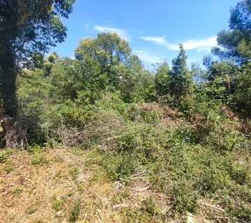 ISTRA, PREMANTURA - Građevinsko zemljište 1300 m2 - cover