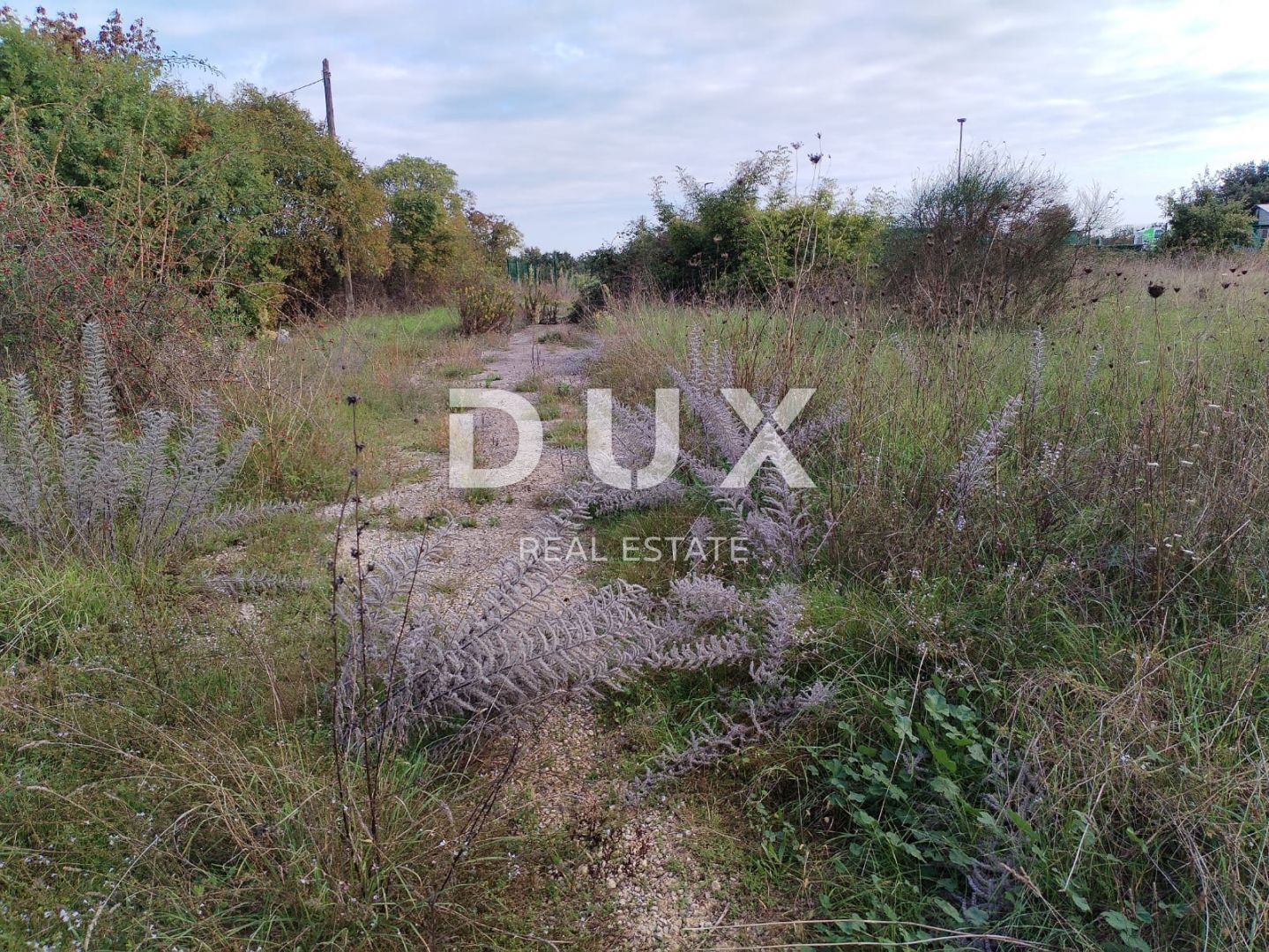 Fotografija