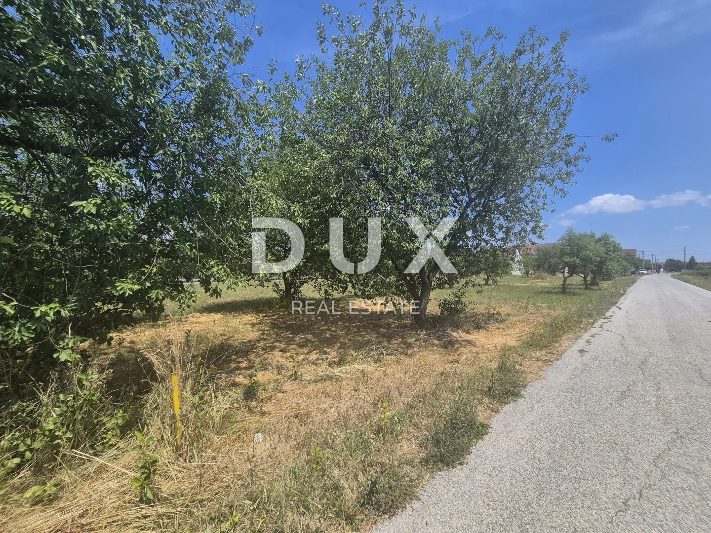 Fotografija
