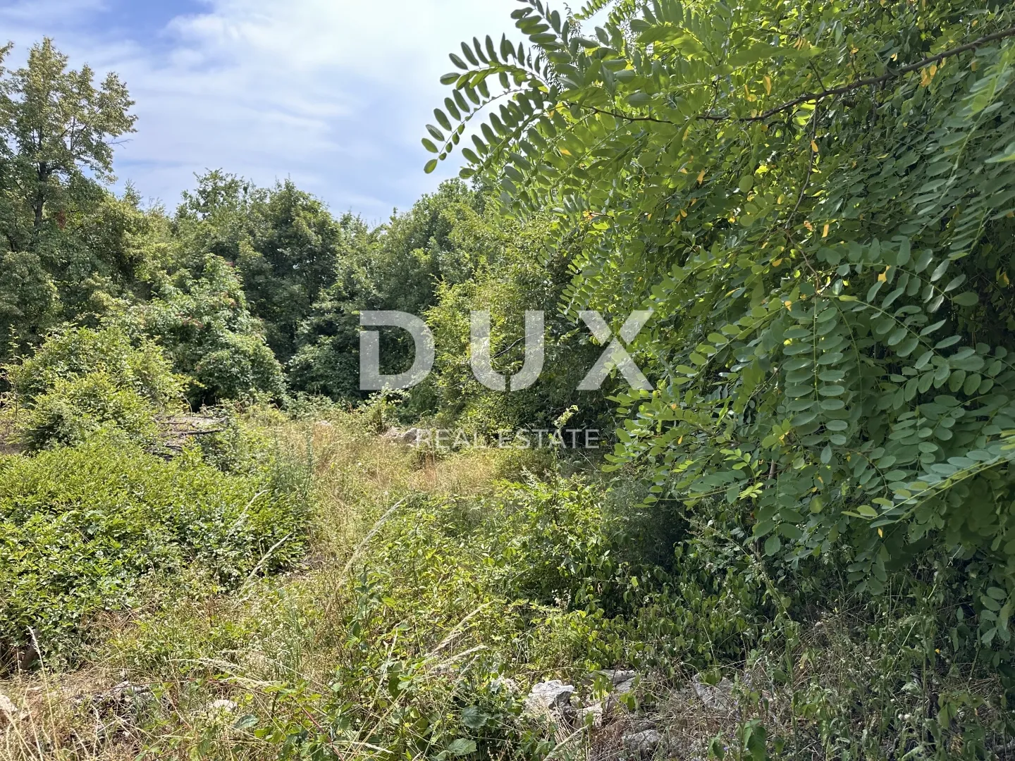 Fotografija